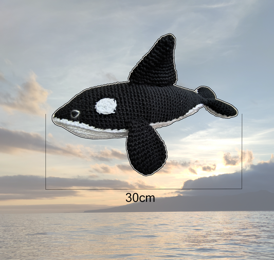 Large Orca